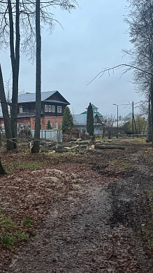 В Палехе в центральном парке вырубили вековые липы